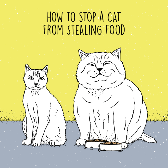 319 Heads Comics: How to Stop a Cat from Stealing Food